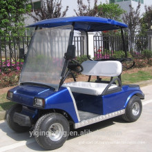 Carrinho de golfe elétrico de dois lugares de 3000W